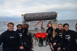 shark cage diving durban