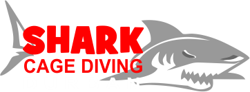 Shark Cage Diving, Durban Aliwal Shoal KZN